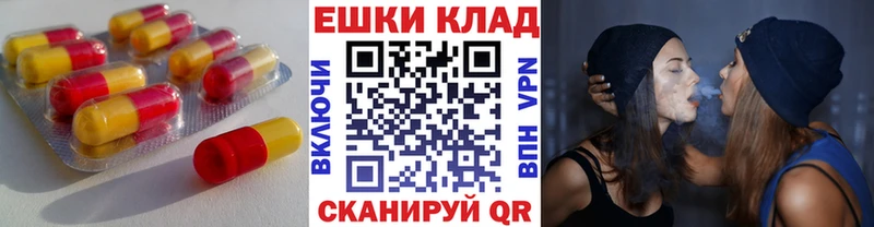Купить закладки  Зеленогорск  Ecstasy диски 
