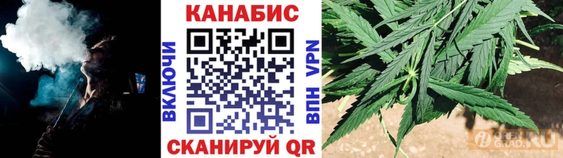 Конопля семена  Купить где  Зеленогорск 